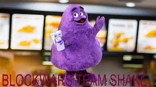 Blockwars Team SHAKE! 🍆🍆💜💜💜