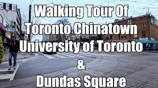 Short Walking Tour of Toronto&rsquo;s China town, University and Dundas square- Jan, 2026