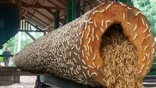 Can I split wood with this disgusting bark | greatest wood crafts