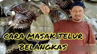 #124 CARA SIANG DAN MASAK TELUR BELANGKAS /HOW TO COOK HORSESHOE CRAB