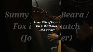 하프 | Sunny Hills of Beara/ Fox in the Thatch (John Dwyer) #irishmusic  #harp #하프 #켈틱하프 #아이리쉬하프