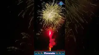 Fireworks Show 🎆 Atosh Baji 🎇 Patakha 🧨 #shorts #fireworks #halercm