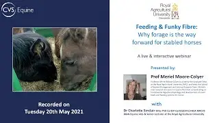 Feeding Funky Fibre: Why forage is the way forward for stabled horses