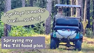 Spraying the No Till Food Plot, But Do I Really Want to Eliminate All The Weeds?