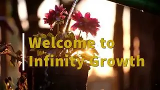About Infinity Growth