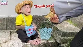Heartwarming! Lily&rsquo;s lost money story had a happy ending! | Lily's story