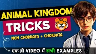 Animal Kingdom All Examples TRICKS - Both Non Chordate & Chordates | Class 11 NEET