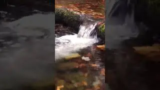 Beautiful water flow music/ water flowing sound/water flow background music/Natural water flow sound