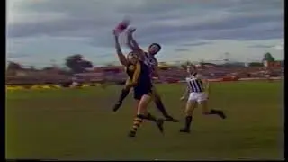 1980 Round16 Glenelg 14.26 110 d Port 12.14 86