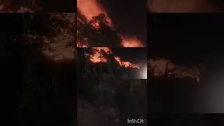 thenmala ottakal parakadavilea larc ennalea undaya fire 💥@Shorts @YouTube