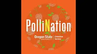 114 - John Jacob - Solar panels and pollinator habitat