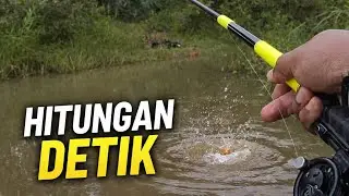 Cuma Hitungan Detik Ikan Makan