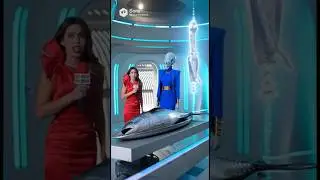 Our favorite reporter comes inside a UFO. To interview #devries  and her giant head.#servernayah