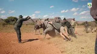 Rooiberg Bewaria - DEFENDING OUR WILDLIFE HERITAGE