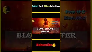 Animal మూవీ 4 Days Collections | #factsmaava #animal #4days #collections #sandeepreddyvanga #ranbir