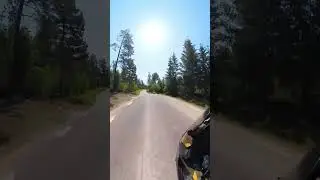 Carreteras en Suecia en medio de colinas y curvas te llevan a danzar junto a tu moto aun ritmo unico