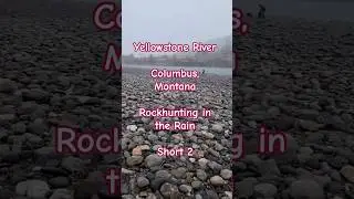 Yellowstone Rockhounding Adventure in Columbus 2: Exciting Rock Finds in the Rain