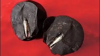 The Lanzhou Stone, out of  place Artifact