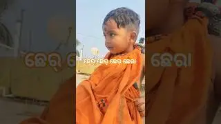 ପୁଷ୍ ପୁନି 🥰#shortsfeed #dimpleboyrajveer#culture #traditional #festival#doom #happiness #shorts#dum