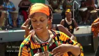 2014 Dayton African American Cultural Festival
