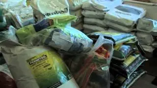 BUG Busters-Do IT Yourself Pest Control, termites and fleas, Sarasota, FL