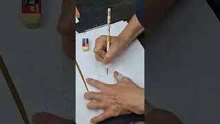 貴賓犬綿羊型批改
