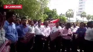 Sanasa Development Bank Staffs Protest in Colombo