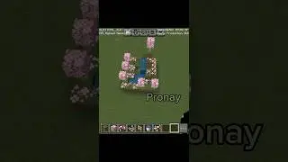 Minecraft mini biom.#pronay #minecraft&nbsp;#minecraftshorts&nbsp;#minecrafthacks&nbsp;#shorts&nbsp;#ytshorts
