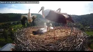 Bohuslavice/CZ       First flight.  🤔The others did not congratulate him.