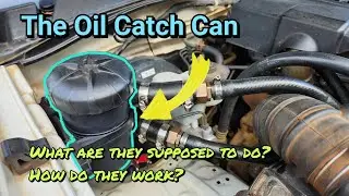 Catch Cans - What Are They All About? Everything You Need to Know!