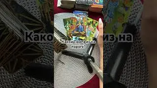 Какой сюрприз на пороге? 