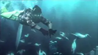 John West - Tuna Tempters - Underwater Armageddon