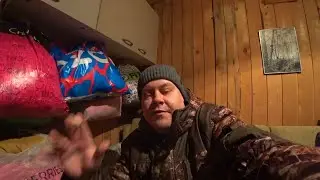 Кот Лев пропал 2 недели нет / Баня
