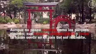 Parque Masayoshi Ohira