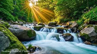 Nature Therapy for Emotional Healing🌿Relaxing Music for Stress Relief, Gentle Nature Ambience