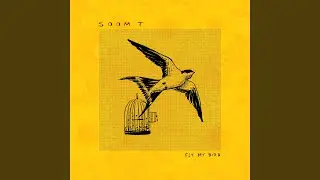 Fly my Bird