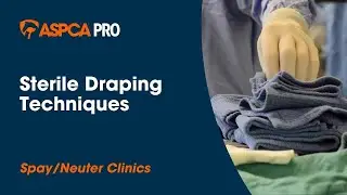 Spay/Neuter Surgery: Sterile Draping Techniques