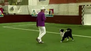 Dog Dancing European Championship 2023 Hungary  - Freestyle Qualification - Dan Daragiu & Giada