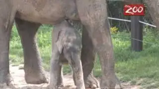 Baby, its a big world out there!
