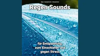 Regen gegen Hundebellen