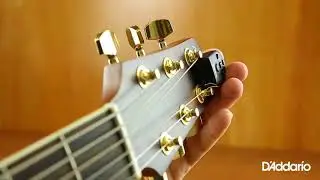 AFINADOR NS MICRO HEADSTOCK PW-CT-12