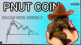 Pnut Coin Price PREDICTION & Technical Analysis 23 Jan | Pnut Latest News | Pnut