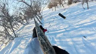 Охота на зайца 2026. Удачная! #hunting #охота #загоннаяохота