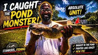 Fishing a private pond and I can&rsquo;t believe I caught the pond monster using 