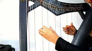 Harpy Athena 33 with Levers - Cosmos | Harp for Sale --- FREE shipping within the US