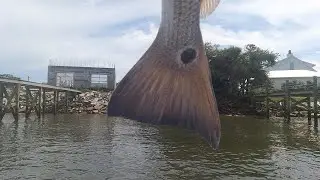 Best Redfish Dock in St Augustine