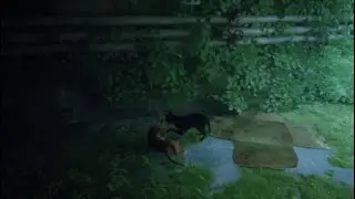 (STRAY) Gameplay - Part 1 