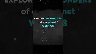 Text Animation #textanimation #texteffect
