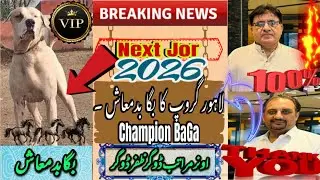 Zafar Dogar wala kutta BaGa Badmash Champion. Lahore Group Ka Sab Sey Acha Janwar Next Jor kb hoga