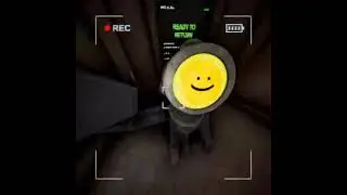 Live Leak simulator